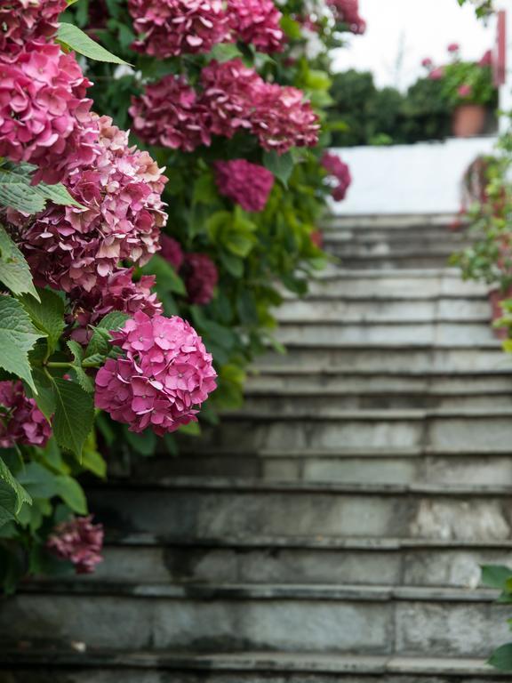 Astromeria Makrirrakhi Ngoại thất bức ảnh